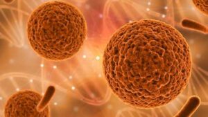 microbiota